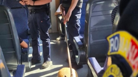 Rail Action Week în Maramureș: peste 150 de călători și 40 de șoferi verificați