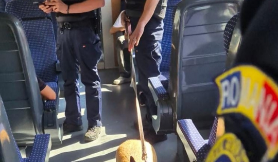 Rail Action Week în Maramureș: peste 150 de călători și 40 de șoferi verificați