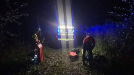 Un bărbat a murit după ce un copac a căzut peste el