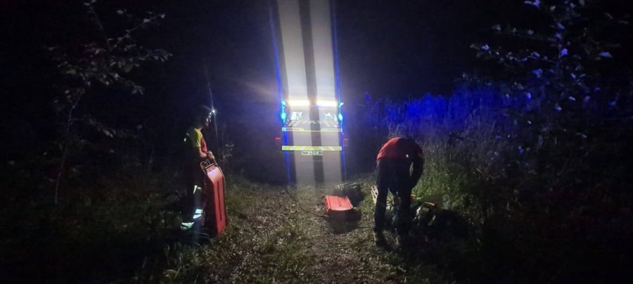 Un bărbat a murit după ce un copac a căzut peste el