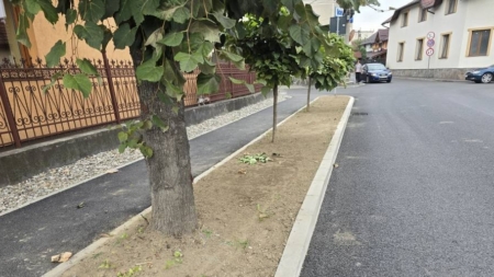 Modificări în traficul rutier în Sighet, din 28 noiembrie