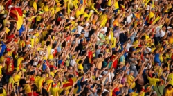 Șapte nominalizări pentru „Tricolorul lunii februarie”