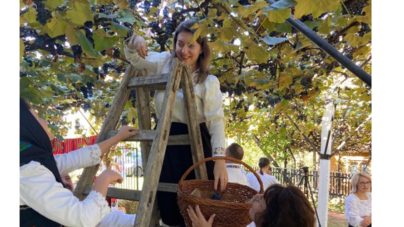 Se organizează clacă de cules struguri în Coruia