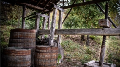 Teascuri pentru presat struguri – obiecte cu poveste la Muzeul Satului Baia Mare