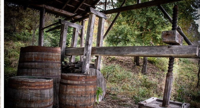 Teascuri pentru presat struguri – obiecte cu poveste la Muzeul Satului Baia Mare