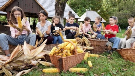 Târgul de Sfântul Dumitru aduce două zile magice pentru copii la Muzeul Satului Baia Mare
