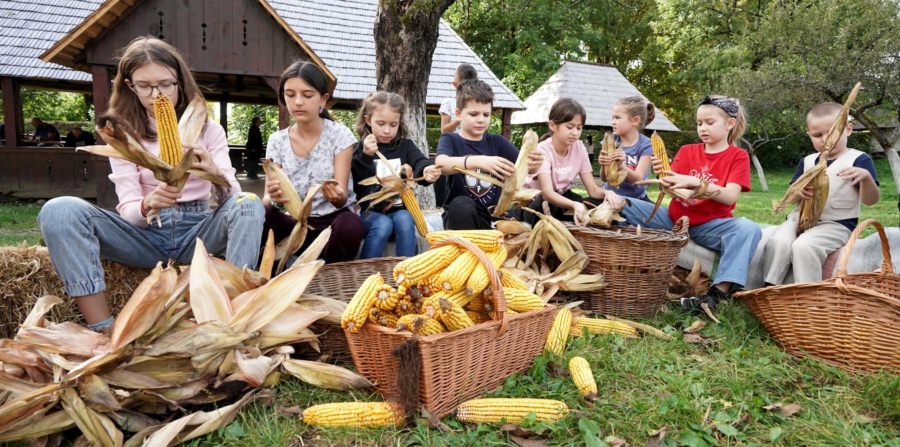 Târgul de Sfântul Dumitru aduce două zile magice pentru copii la Muzeul Satului Baia Mare
