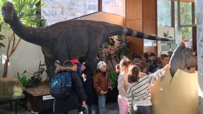 Val de vizitatori la Muzeul de Mineralogie Baia Mare în timpul Școlii Altfel și Săptămânii Verzi