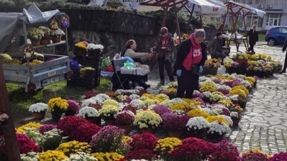 Pregătiri pentru Luminație: Piață de flori de toamnă la Baia Sprie