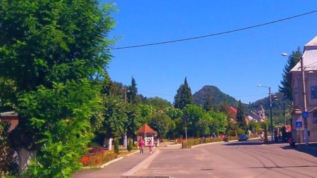 Concurs de angajare la Primăria Baia Sprie