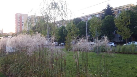 Prognoza meteo Maramureș – 23 octombrie 2025