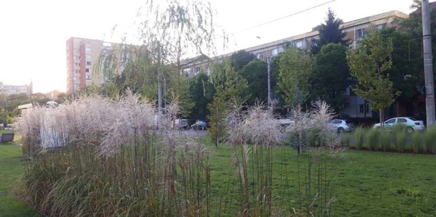 Prognoza meteo Maramureș – 23 octombrie 2025