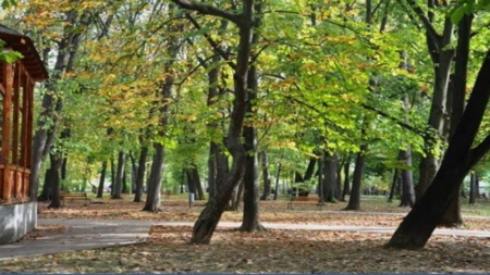 Prognoza meteo Maramureș  – 31 octombrie 2025