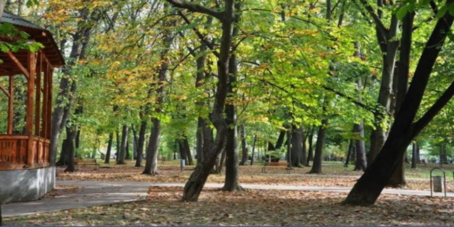 Prognoza meteo Maramureș  – 31 octombrie 2025