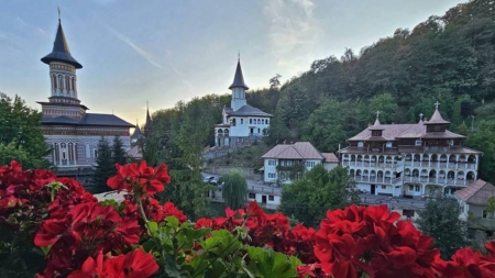 Mănăstirea „Sfânta Ana” Rohia angajează bucătar