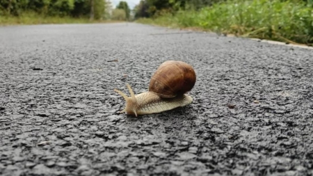 Prognoza meteo Maramureș – 12 octombrie 2025