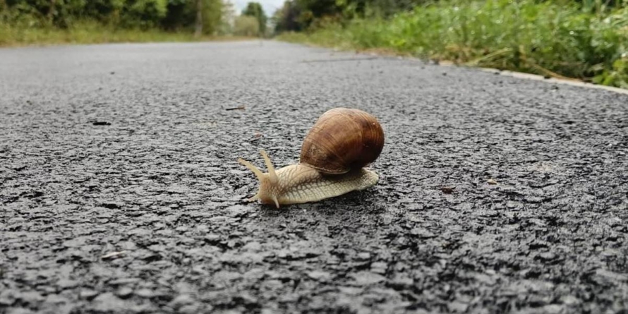 Prognoza meteo Maramureș – 12 octombrie 2025