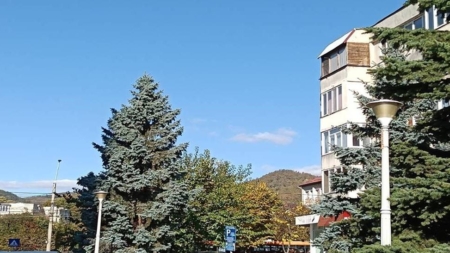 Prognoza meteo Maramureș  – 21 octombrie 2025