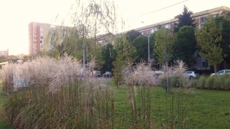 Prognoza meteo Maramureș – 30 octombrie 2025