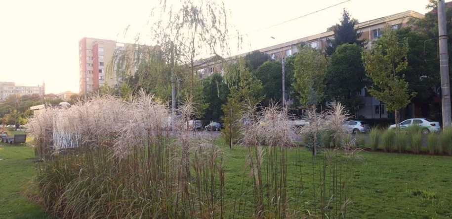 Prognoza meteo Maramureș – 30 octombrie 2025