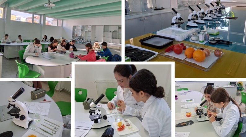 Elevii înscriși la Centrul Județean de Excelență Maramureș, la Biologie, au observat celulele cu ajutorul microscopului
