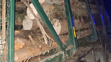 Transport ilegal de lemne depistat la Borșa