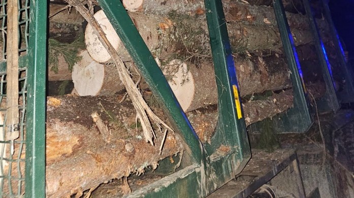 Transport ilegal de lemne depistat la Borșa