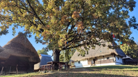 Programul activităților din cadrul proiectului „Caravana Atelierelor”, derulat de Muzeul Satului Baia Mare