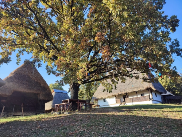 Programul activităților din cadrul proiectului „Caravana Atelierelor”, derulat de Muzeul Satului Baia Mare