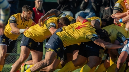 David Gerard, selecționer România: „Trebuie să regăsim mândria de a juca pentru «stejari»”