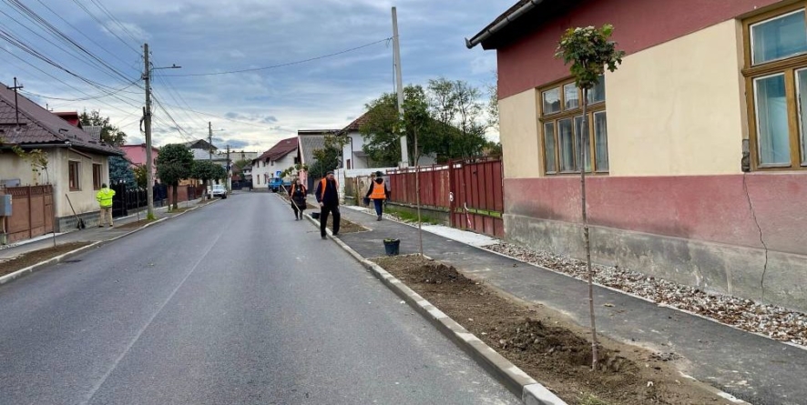 Acțiune de plantare de arbori ornamentali la Sighet