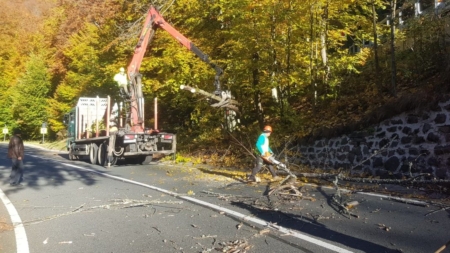 S-au încheiat lucrările de îndepărtare a arborilor care erau în pericol să cadă pe DN18, în Pasul Gutâi