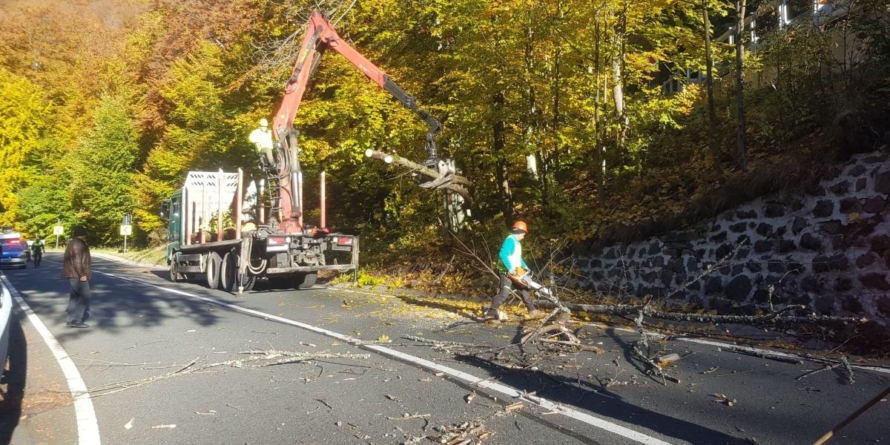 S-au încheiat lucrările de îndepărtare a arborilor care erau în pericol să cadă pe DN18, în Pasul Gutâi