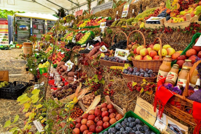 În Tăuții-Măgherăuș se organizează un eveniment dedicat Zilelor Recoltei