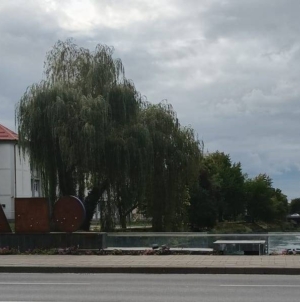 Prognoză meteo Maramureș–13 decembrie 2025