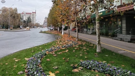 Prognoză meteo Maramureș – 28 noiembrie 2025