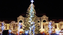 Pentru prima dată, Baia Mare nu va avea brad natural în Centrul Vechi