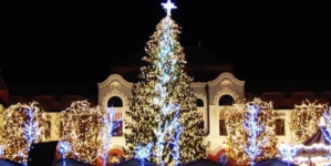 Pentru prima dată, Baia Mare nu va avea brad natural în Centrul Vechi