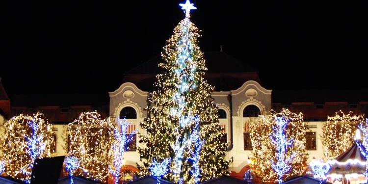 Pentru prima dată, Baia Mare nu va avea brad natural în Centrul Vechi