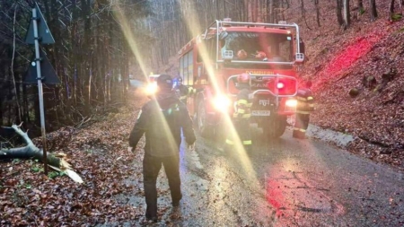 Intervenție de urgență a Poliției Locale Baia Mare