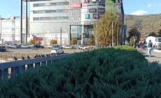 Prognoză meteo Maramureș – 7 noiembrie 2025