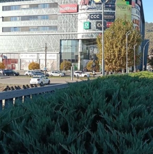 Prognoză meteo Maramureș – 7 noiembrie 2025