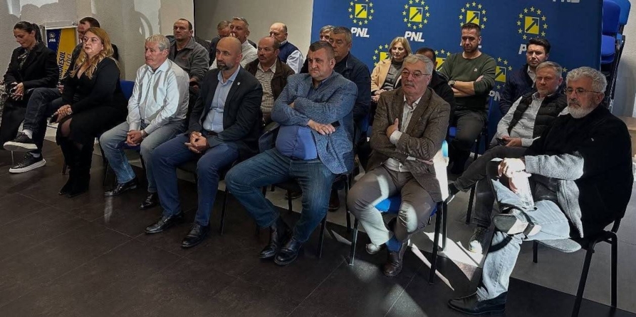 Ioan Holdiș și Petru Moiș-Stoica, candidează la alegerile locale parțiale