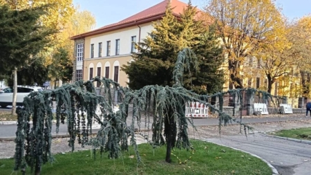 Prognoza meteo Maramureș – 4 noiembrie 2025