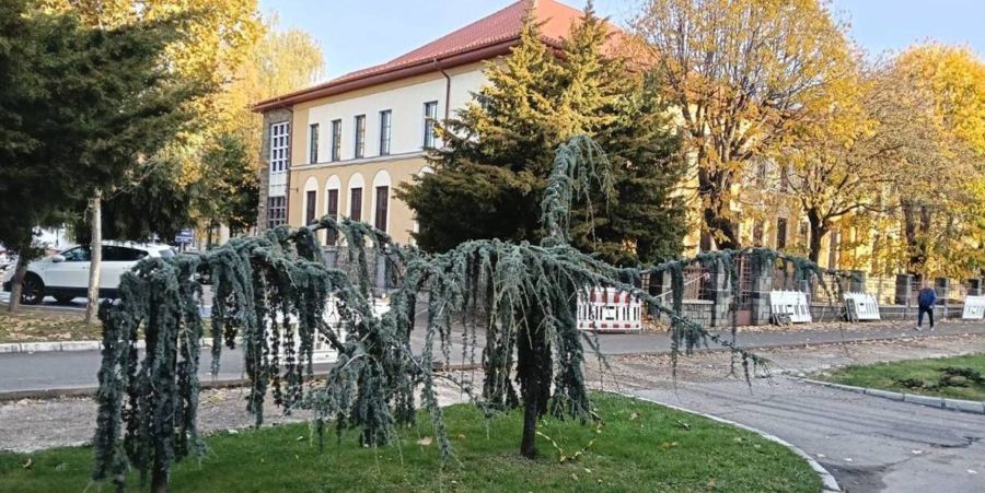 Prognoza meteo Maramureș – 4 noiembrie 2025
