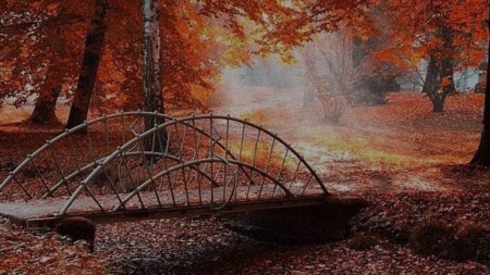 Clipa care nu se întoarce