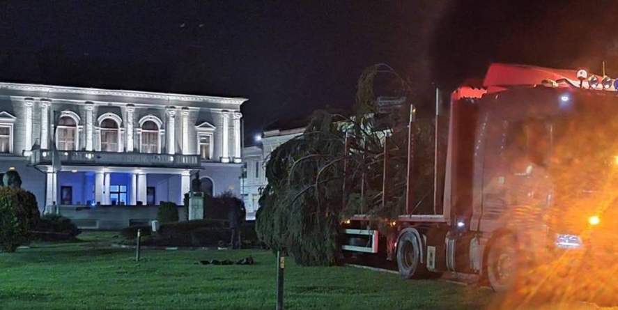 Aseară a sosit bradul de Crăciun la Sighet