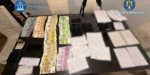 Percheziții în Maramureș în dosare privind infracțiuni silvice