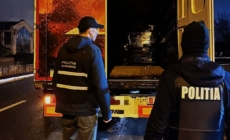 Controale pentru combaterea evaziunii fiscale