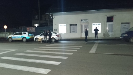 Trei acțiuni tip Blocada în Maramureş. 127 de mașini au fost verificate